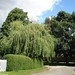 John Thorner Photo 13
