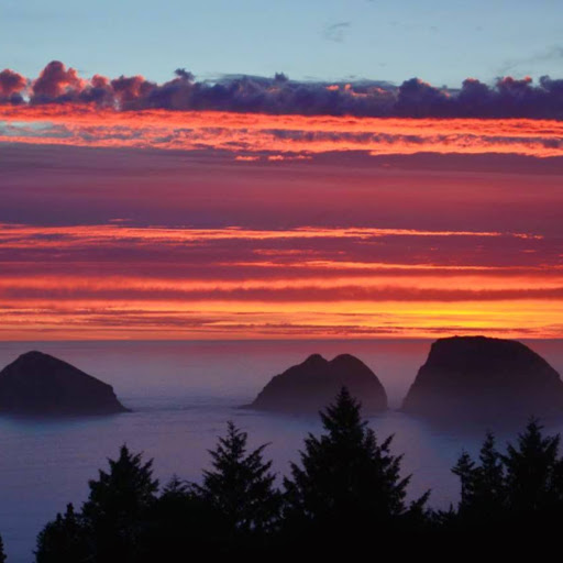 Angela Schroyer Photo 9