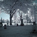 Daniel Holcomb Photo 17