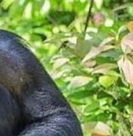 Quentin Christian Photo 14