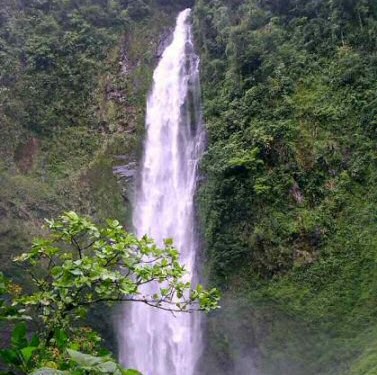 Wendy Shepard Photo 7