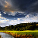 David Rios Photo 25