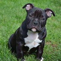 Daniel Kimble Photo 17