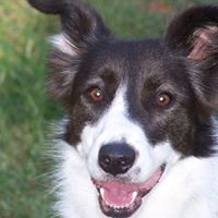 Terry Driver Photo 10