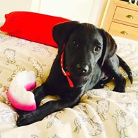 Steven Keeley Photo 15