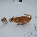 Annie Snow Photo 31
