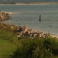 Janet Southern Photo 11