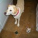Gretchen Burns Photo 6