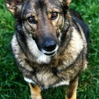 Anna Barnes Photo 32