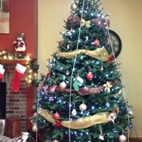 Vickie Steiner Photo 2