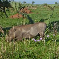 Julia Gerlach Photo 17