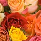 Pamela Schmidt Photo 31