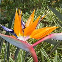 Danielle Keys Photo 14