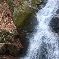 Teresa Mace Photo 13