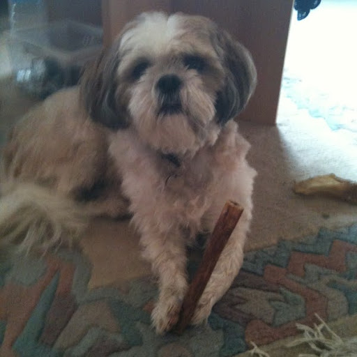 Michele Kieffer Photo 13