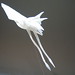 Brian Engel Photo 35