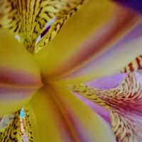 Julie Taylor Photo 27