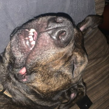 Matthew Dean Photo 27