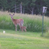 Steven Keeley Photo 14