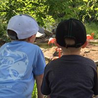 Susan Himes Photo 21