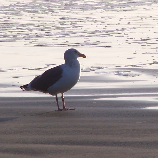 Lori Martin Photo 11