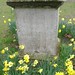 Mary Godwin Photo 36