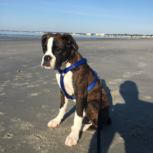 Cindi Russell Photo 12