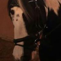 Annette Moritz Photo 3