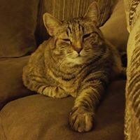 Sheila Shelley Photo 7