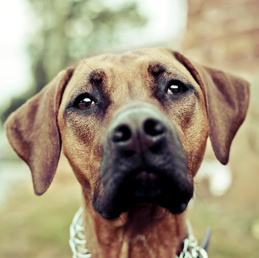 Michael Dunlap Photo 8