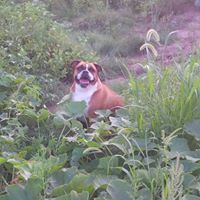 John Priest Photo 15 John Priest Photo 15