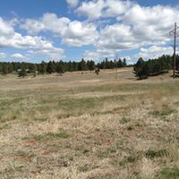 Mike Farrell Photo 25