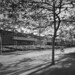 Alexander Merrill Photo 9