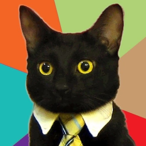 David Gormley Photo 17