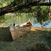 Linda Bryan Photo 9