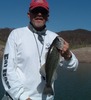 Don Mcdowell Photo 4