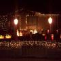 Ruth Pruitt Photo 9