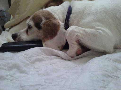 Tracy Kelley Photo 44