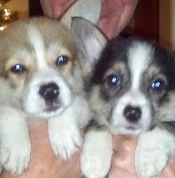 Barbara Stroup Photo 4