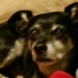 Darla Smith Photo 10