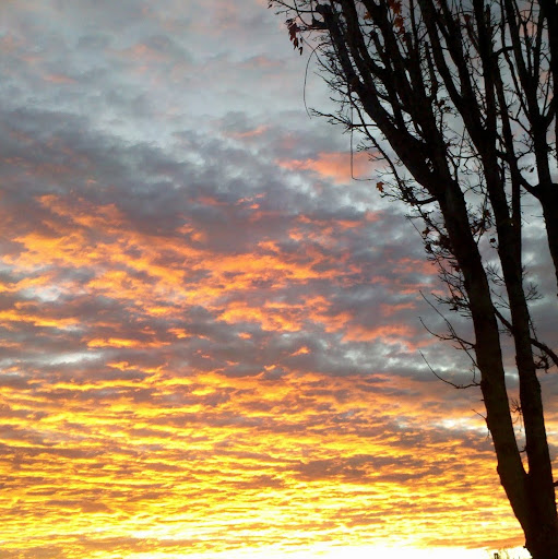 Casandra Roberts Photo 2