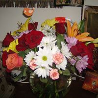 Danielle Hughes Photo 10 Danielle Hughes Photo 10