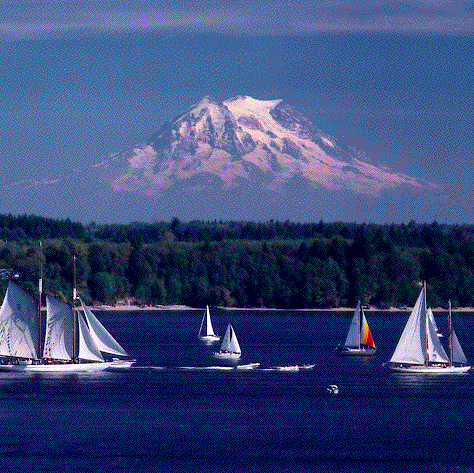 Michelle Weathers Photo 33