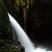 Michael Atkins Photo 42