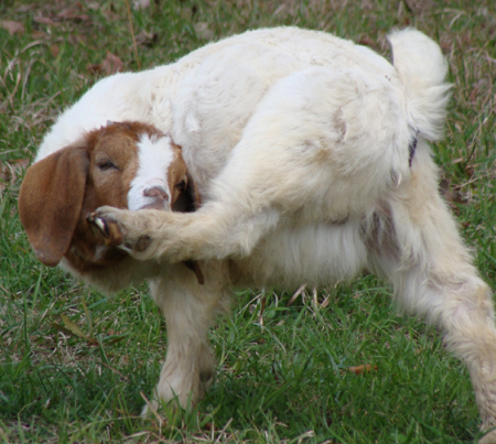 Victoria Marshall Photo 9 Victoria Marshall Photo 9