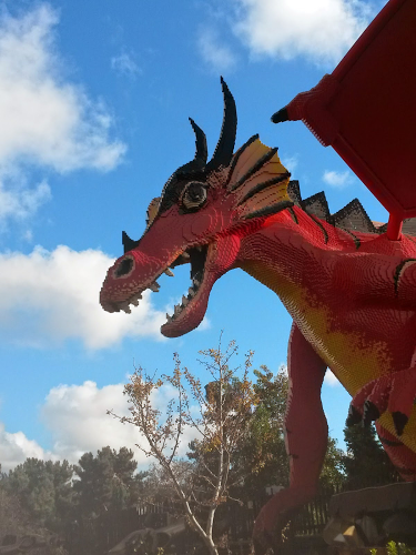 Laurie Macrae Photo 10