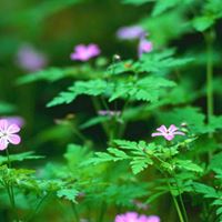 Diane Washington Photo 11