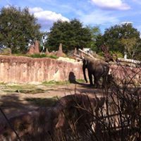 Ann Nettles Photo 26