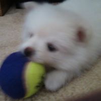 Peggy Beckman Photo 4