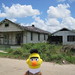 Loraine Ward Photo 22